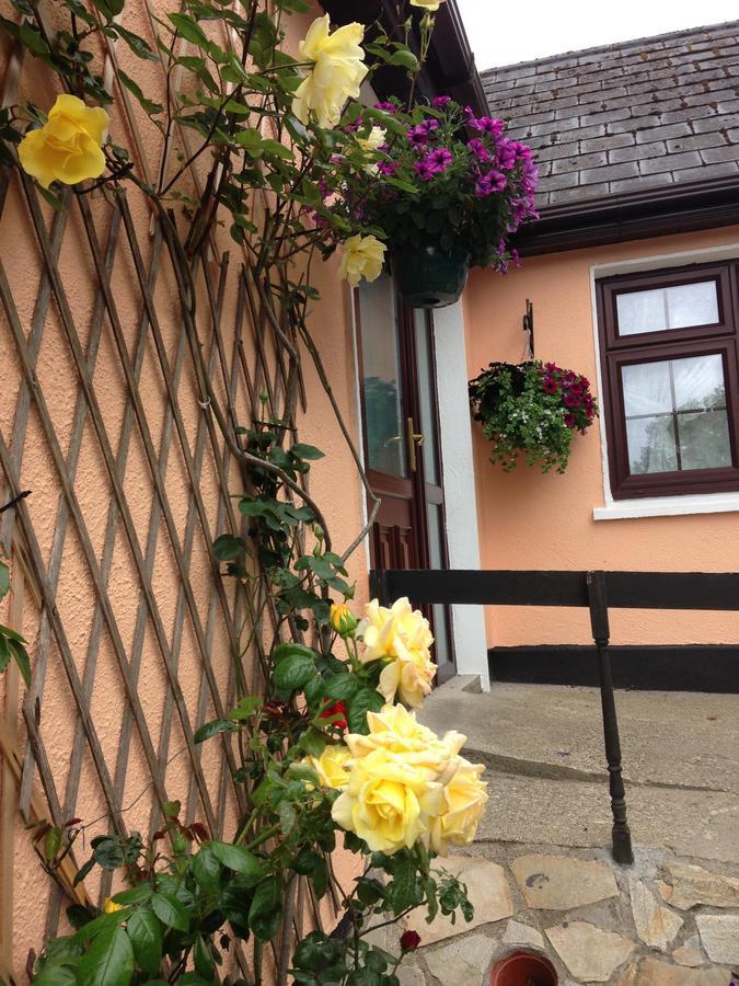 Eriu Lodge Clifden Bagian luar foto