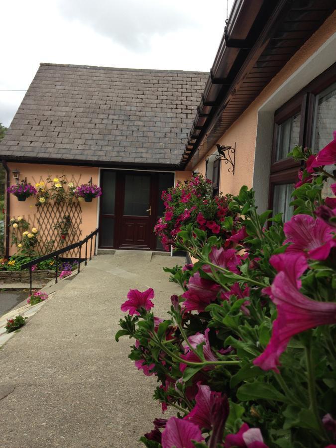 Eriu Lodge Clifden Bagian luar foto